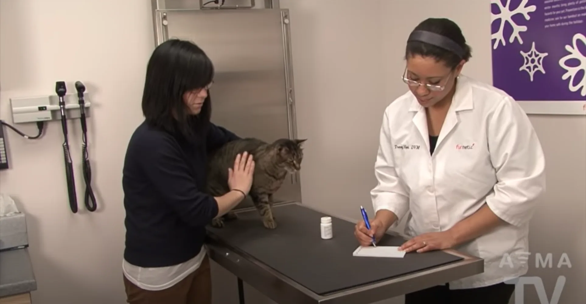 Blood Tests for Pets Video at Hinsdale Animal Hospital